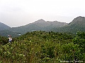 PICT0784