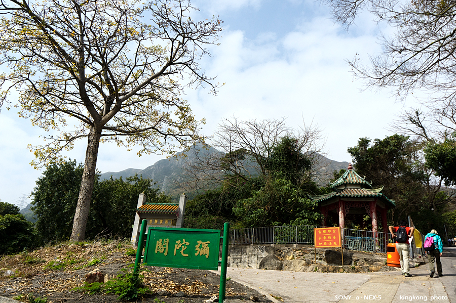 _DSC7113.jpg - SONY DSC