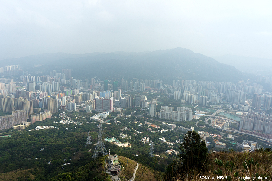 _DSC7135.jpg - SONY DSC
