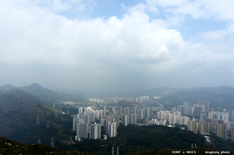 _DSC7230.jpg - SONY DSC