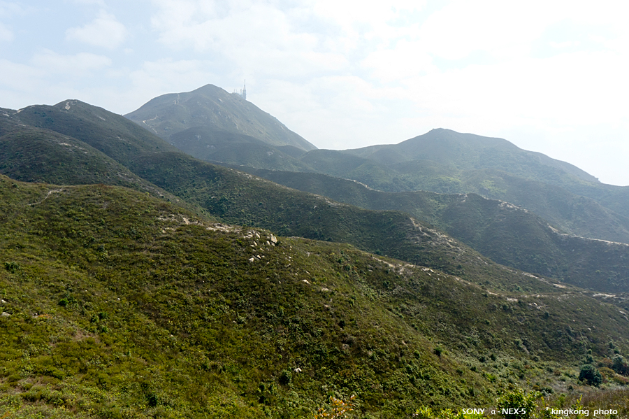 _DSC7243.jpg - SONY DSC