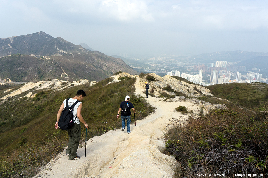 _DSC7275.jpg - SONY DSC