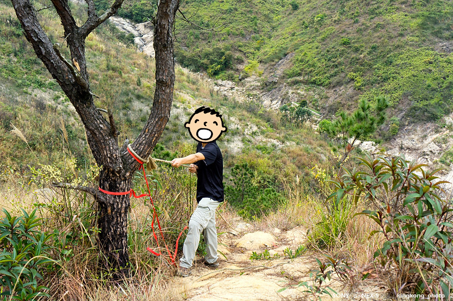 _DSC0675.jpg - Taken at Latitude/Longitude:22.406700/113.945080. 1.35 km North-East Tai Lang Shui  Hong Kong   (Map link) 