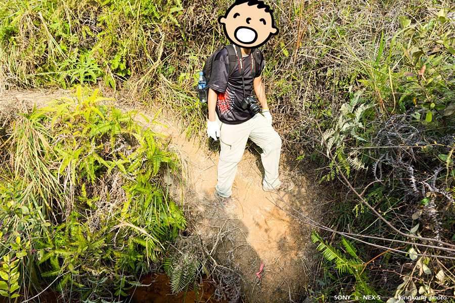 _DSC0737.jpg - Taken at Latitude/Longitude:22.397137/113.935227. 0.24 km South Tai Lang Shui  Hong Kong   (Map link) 