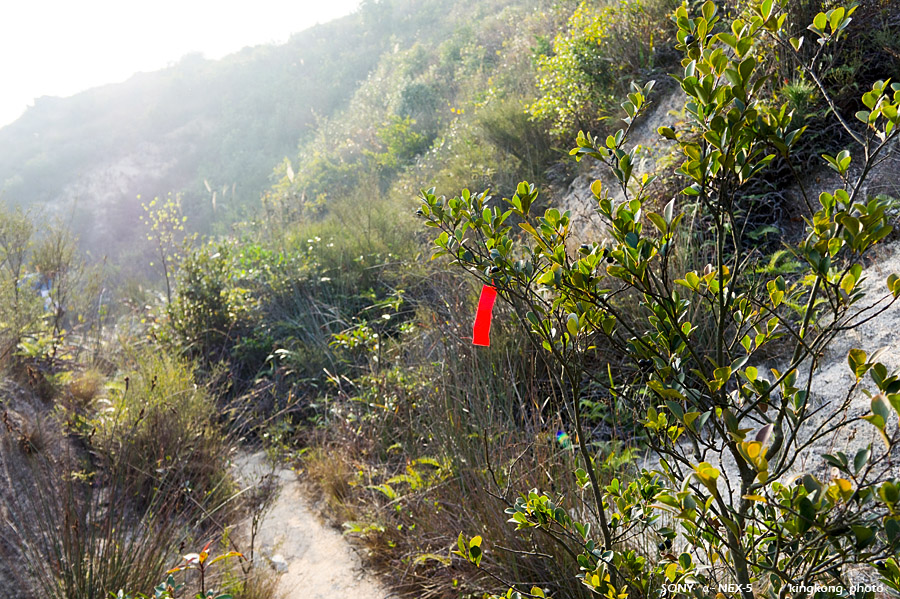 _DSC0760.jpg - Taken at Latitude/Longitude:22.395516/113.930956. 0.56 km South-West Tai Lang Shui  Hong Kong   (Map link) 