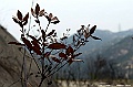 _DSC0671