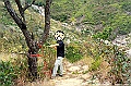 _DSC0675