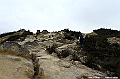 _DSC0682