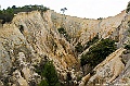 _DSC0705
