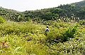 _DSC0736