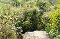 _DSC0751