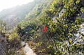 _DSC0760