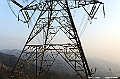 _DSC0823