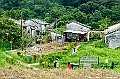 _DSC9667