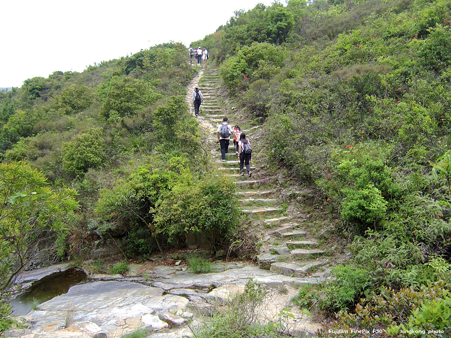 DSCF2149.JPG - 石壁水塘 => 狗嶺涌 => 分流 => 煎魚灣 => 二澳 => 大澳Shek Pik => Kau Ling Chung => Fan Lau => Tsin Yue Wan => Yi O => Tai O