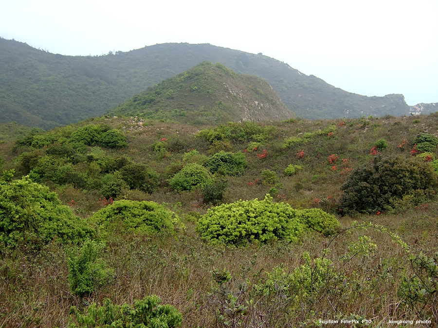 DSCF2185.JPG - 石壁水塘 => 狗嶺涌 => 分流 => 煎魚灣 => 二澳 => 大澳Shek Pik => Kau Ling Chung => Fan Lau => Tsin Yue Wan => Yi O => Tai O