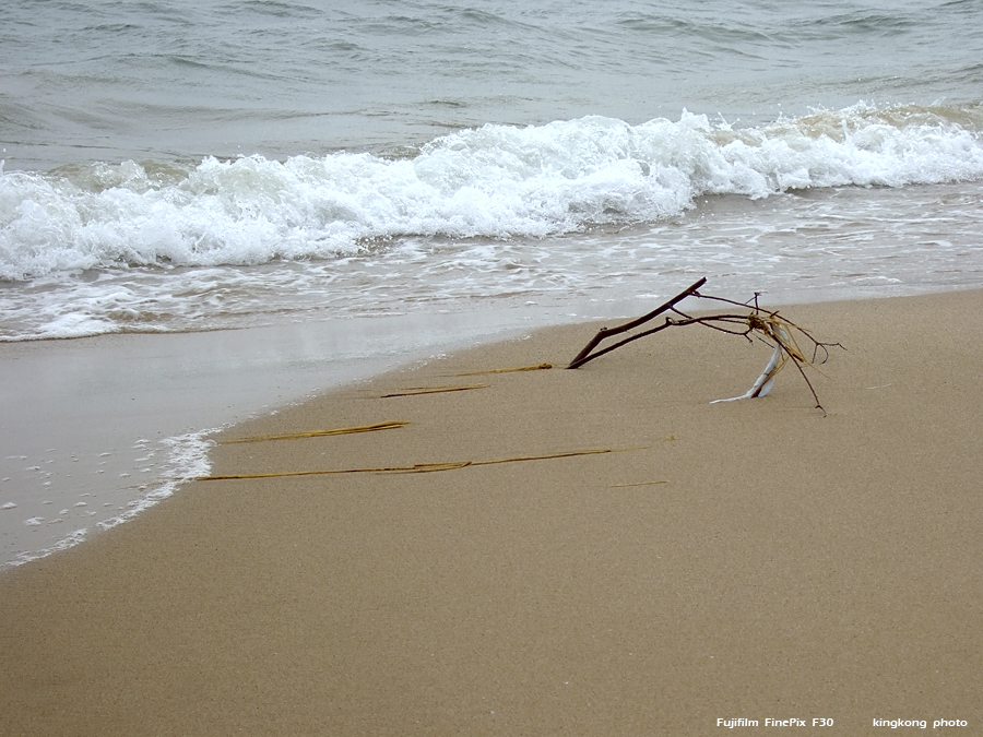 DSCF2240.JPG - 石壁水塘 => 狗嶺涌 => 分流 => 煎魚灣 => 二澳 => 大澳Shek Pik => Kau Ling Chung => Fan Lau => Tsin Yue Wan => Yi O => Tai O