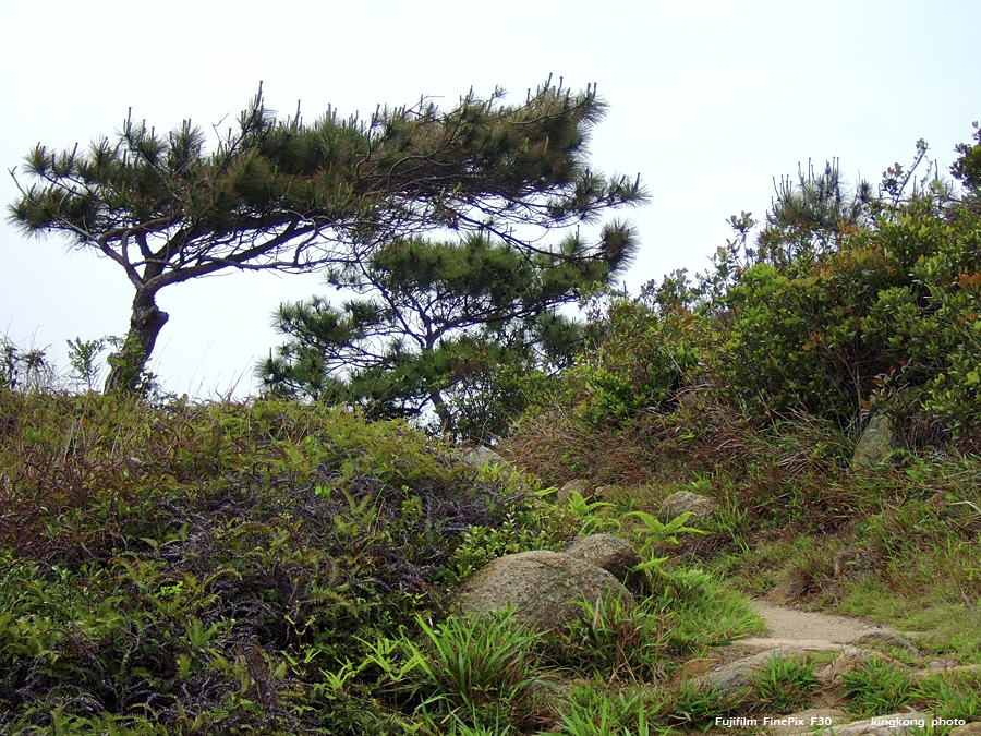 DSCF2315.JPG - 石壁水塘 => 狗嶺涌 => 分流 => 煎魚灣 => 二澳 => 大澳Shek Pik => Kau Ling Chung => Fan Lau => Tsin Yue Wan => Yi O => Tai O
