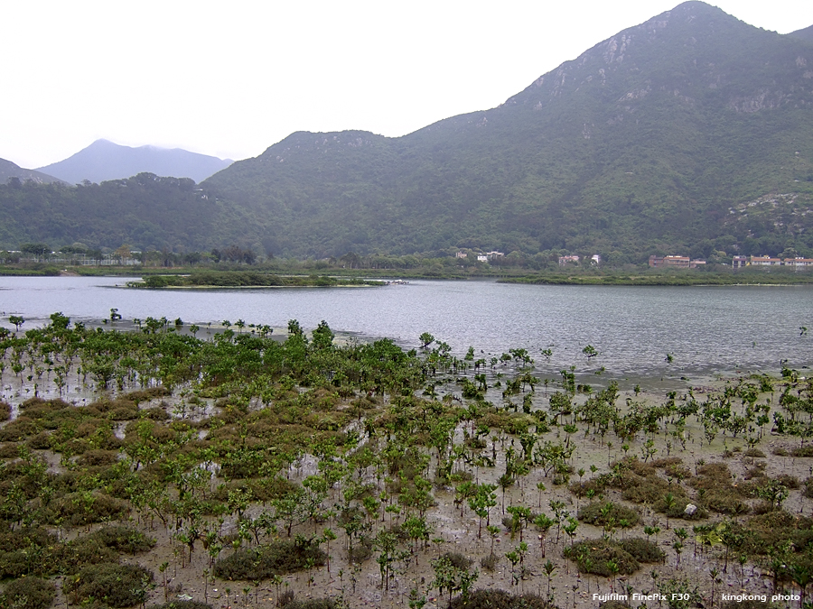 DSCF2391.JPG - 石壁水塘 => 狗嶺涌 => 分流 => 煎魚灣 => 二澳 => 大澳Shek Pik => Kau Ling Chung => Fan Lau => Tsin Yue Wan => Yi O => Tai O