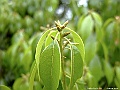 DSCF2153