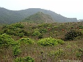 DSCF2185