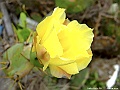 DSCF2248