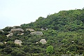 DSCF2249