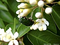 DSCF2284
