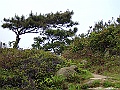 DSCF2315