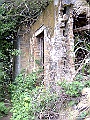 DSCF2351