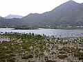 DSCF2391