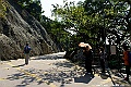 _DSC5305