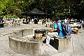 _DSC5317