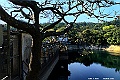 _DSC5325