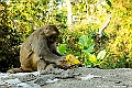 _DSC5346