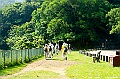 _DSC8974