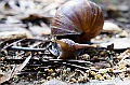 _DSC8995