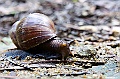 _DSC9004