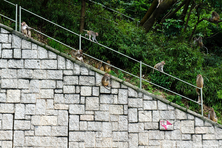 _DSC3264.jpg - SONY DSC