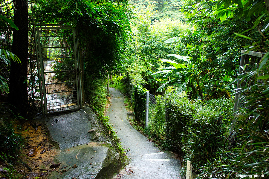 _DSC3286.jpg - SONY DSC