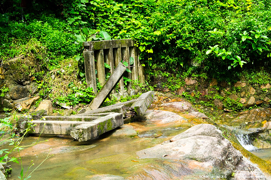 _DSC3299.jpg - SONY DSC