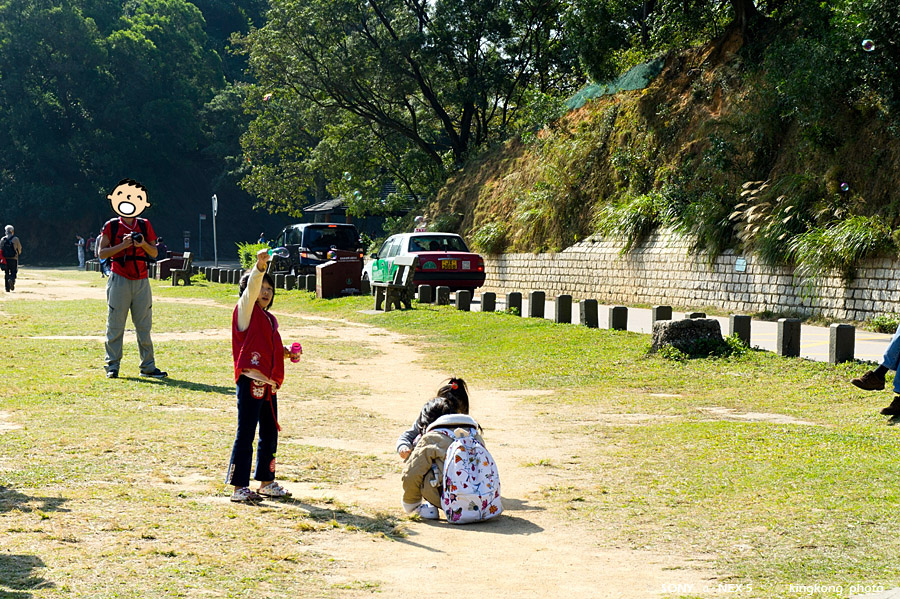 grassy003.jpg - SONY DSC