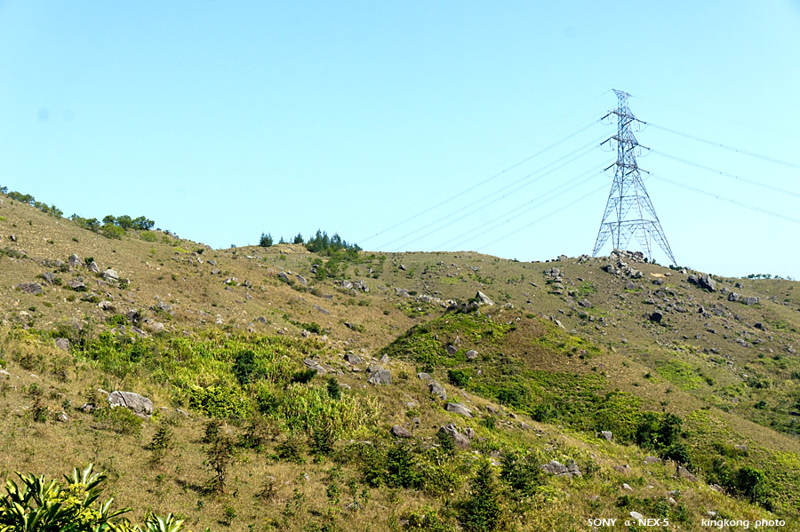 grassy072.jpg - SONY DSC