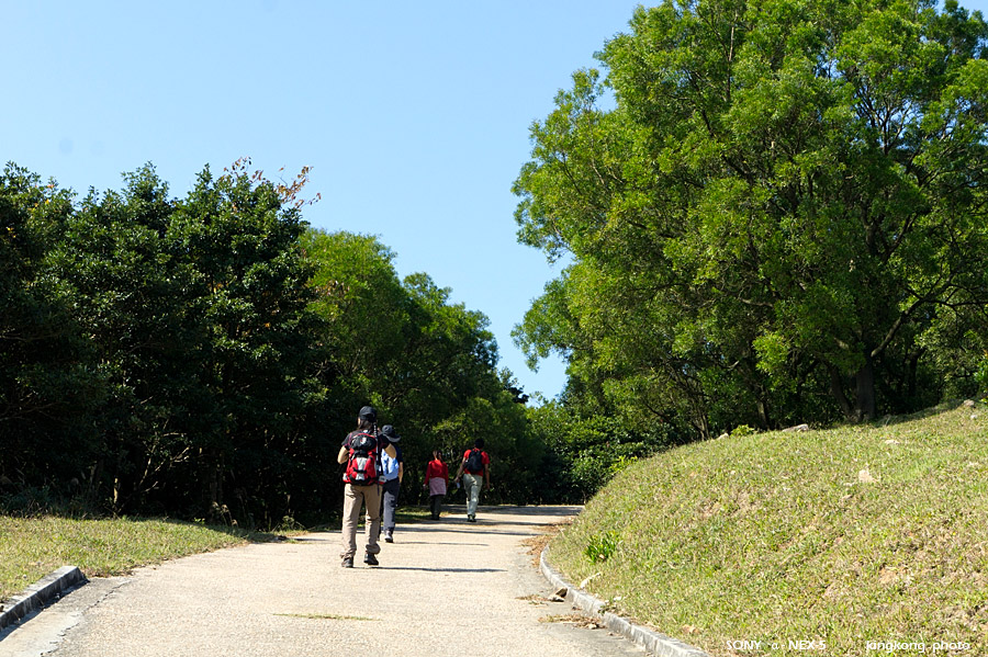 grassy076.jpg - SONY DSC