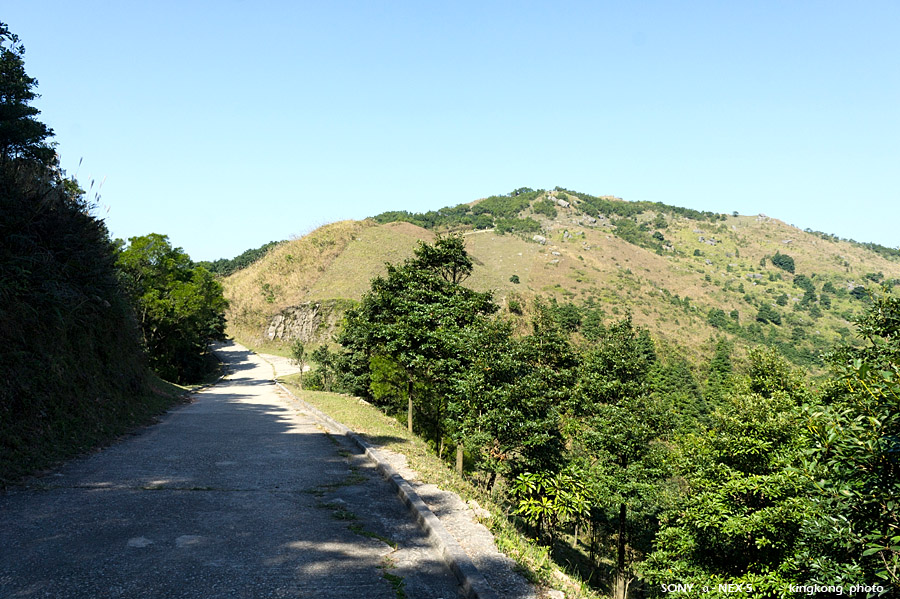 grassy079.jpg - SONY DSC