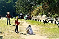 grassy003