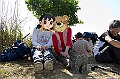 grassy056