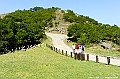 grassy109
