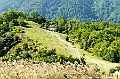 grassy128