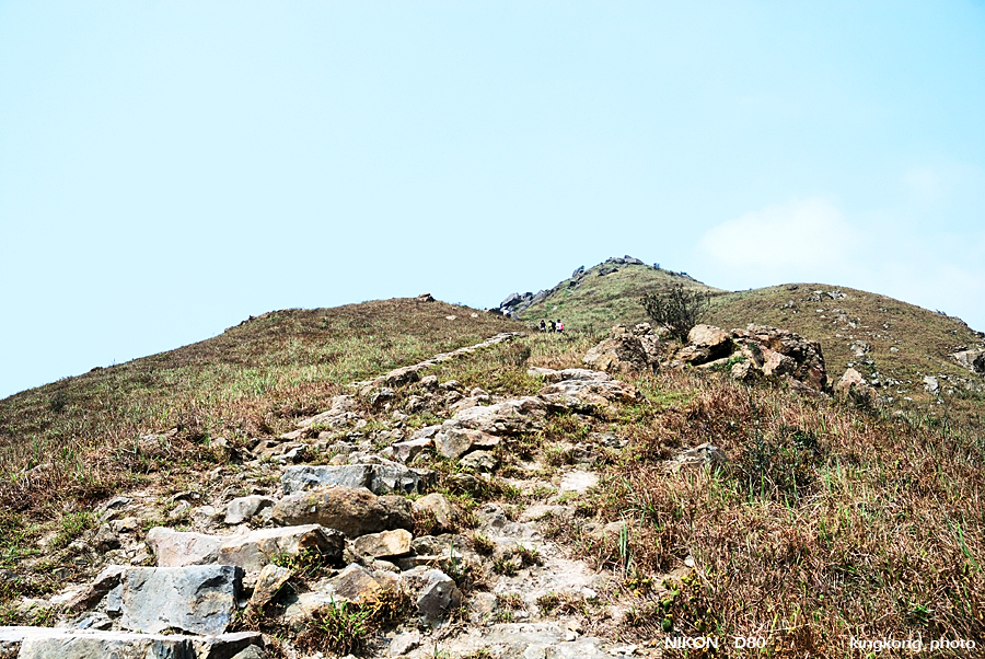 DSC_7307.jpg